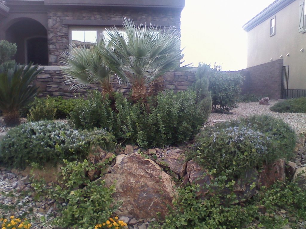 custom pools and spas by greencare.net